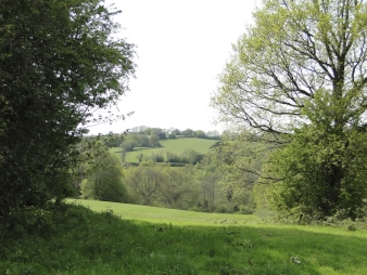 Typical countryside Typical countryside